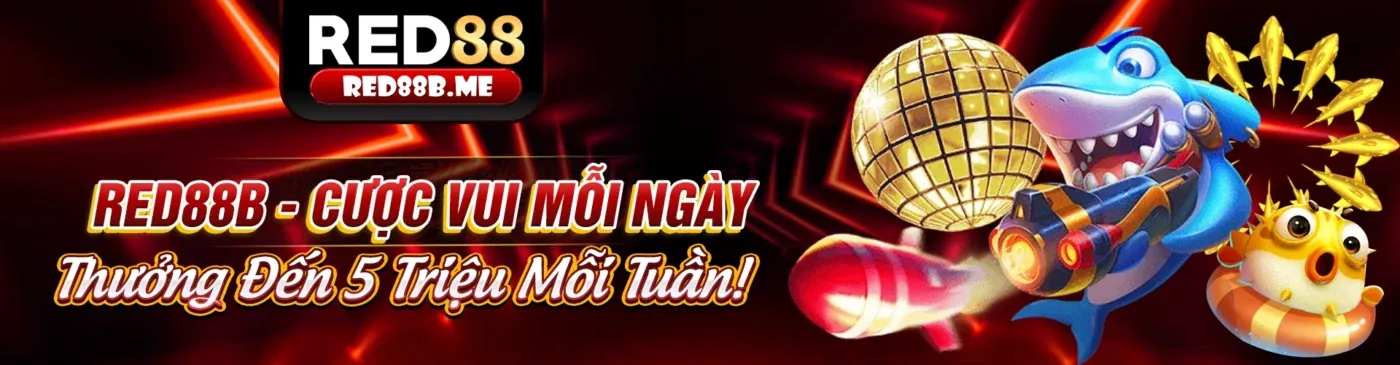 Đa dạng các môn thể thao và giao diện cá cược trực tuyến trên nền tảng Daiviet88.
